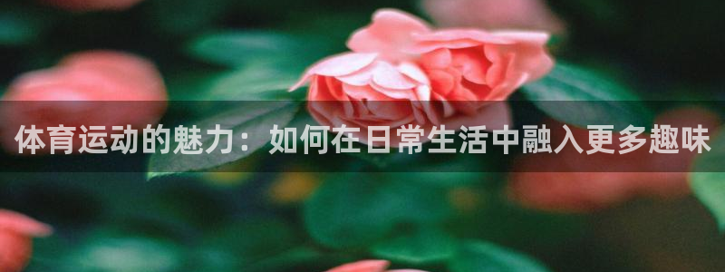 体育运动的魅力：如何在日常生活中融入更多趣味