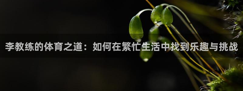 李教练的体育之道：如何在繁忙生活中找到乐趣与挑战