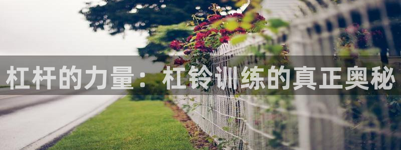杠杆的力量：杠铃训练的真正奥秘