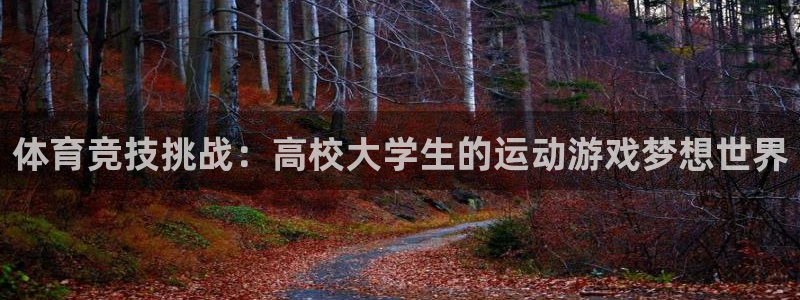 体育竞技挑战：高校大学生的运动游戏梦想世界