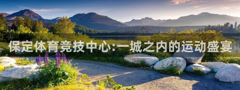 保定体育竞技中心:一城之内的运动盛宴